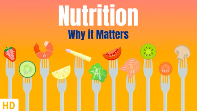 Nutrition and Why It Matters from Medical Centric